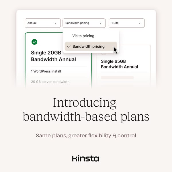 Kinsta ad creative
