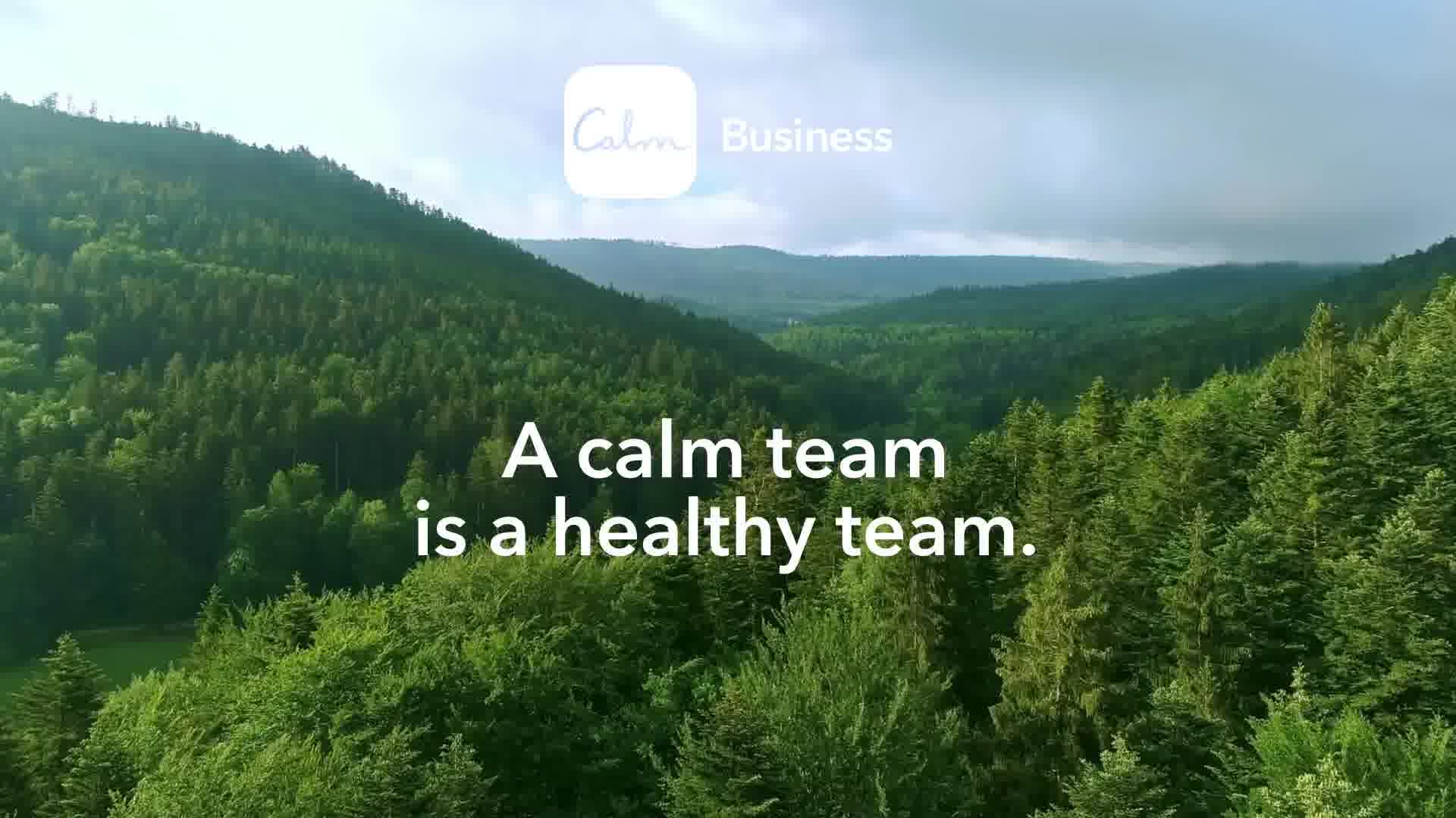 Calm Business ad creative
